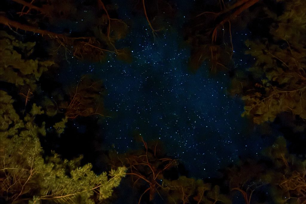 Ontario starry sky